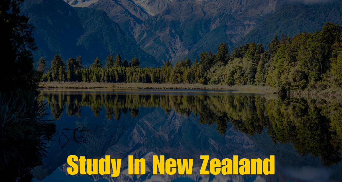 Study In New Zealand (1)